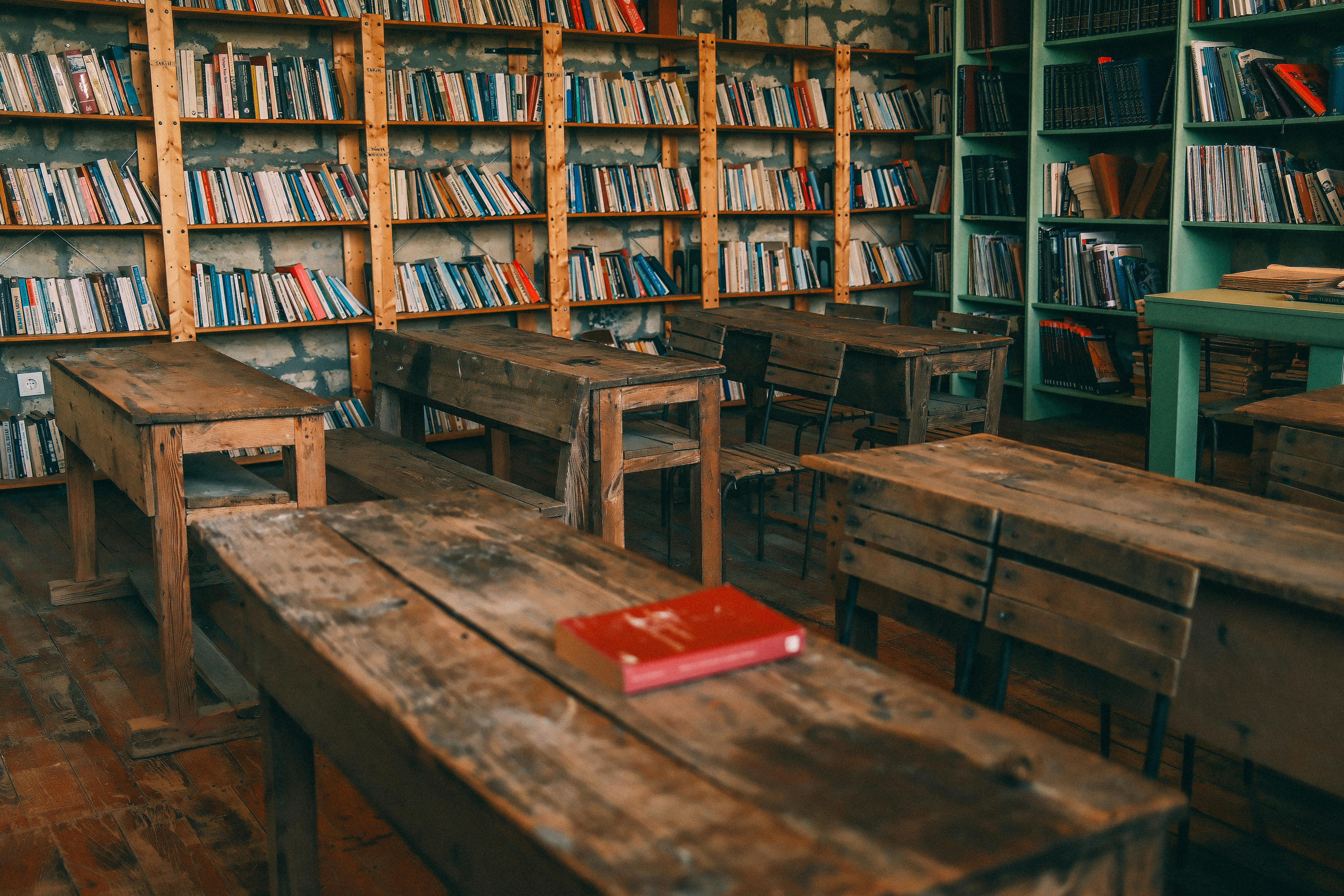 pexels-trksami-34084876.jpg